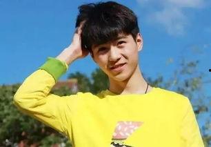 娱乐男孩,青春偶像的崛起与魅力